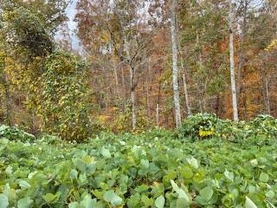 LOT 108 Stone Bridge Dr, Dandridge, TN, 37725