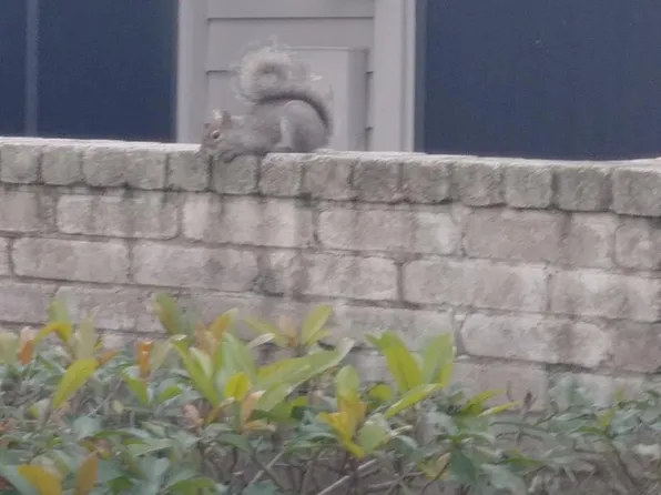 13471 Garden Grove St #766, Houston, TX 77082