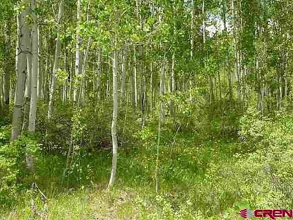 4th image of 342 & 344 Spruce Glen