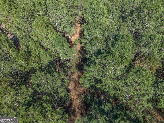 5th image of 3 Ben Giddens Rd