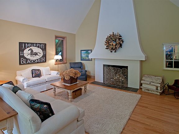 Wood Burning Fireplace