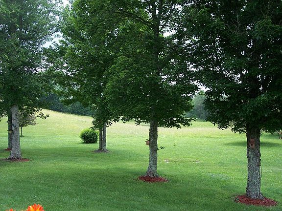 View from Front Porch