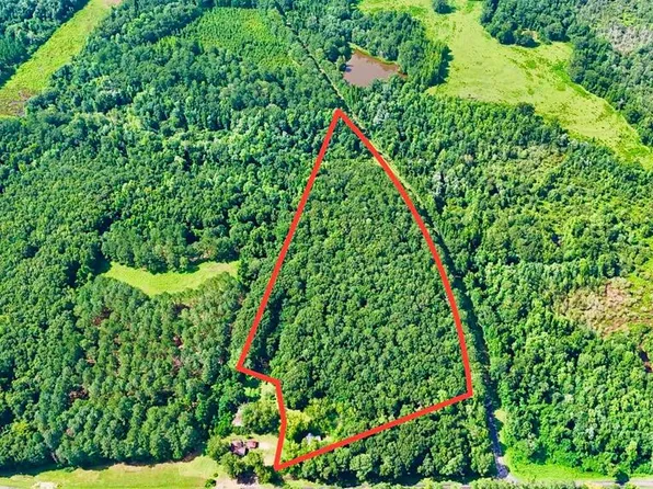 211 County Road 8, Clio, AL 36017