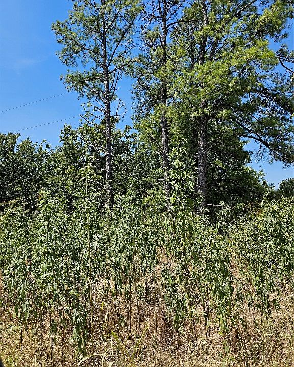 1st image of SW County Road 2230