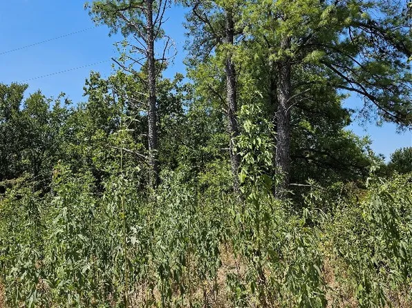 SW County Road 2230, Wortham, TX 76693