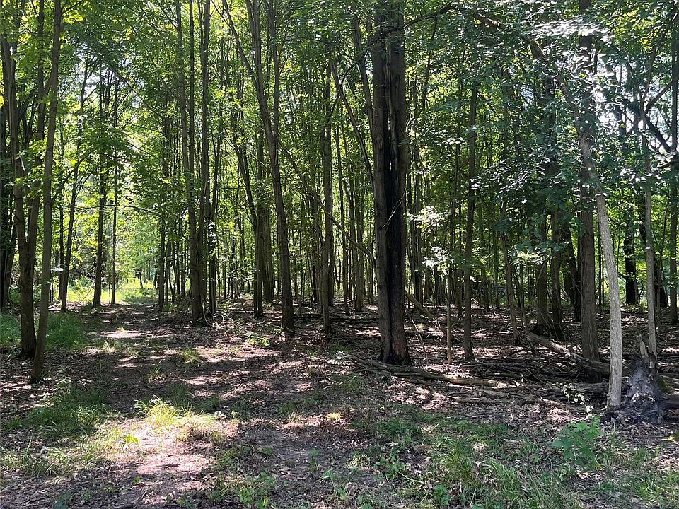 1255 Houghton Trl, photo 7