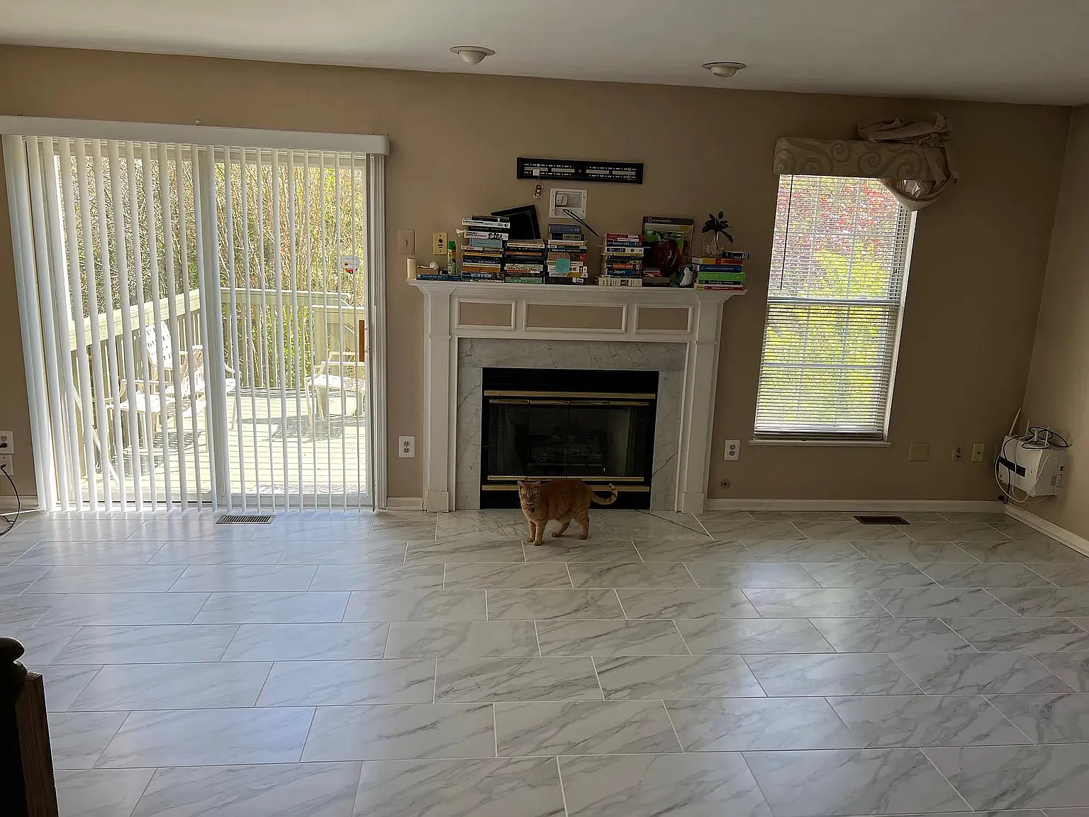 121 Abelia Dr — Photo 3