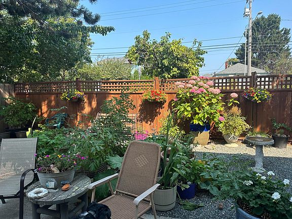 previous tenants' back courtyard