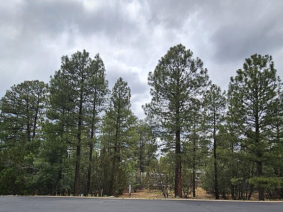 3rd image of 1060 S Hacienda Pines Dr