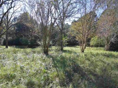 10636 Fm 1277, San Augustine, TX, 75972