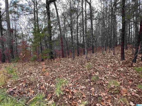 0 Mountain View Cir, Mc Calla, AL 35111