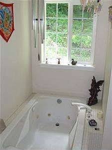 Master Bath Spa Tub
