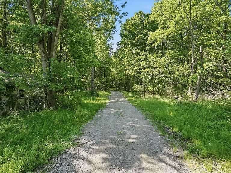18534 County Road 10 — Photo 28
