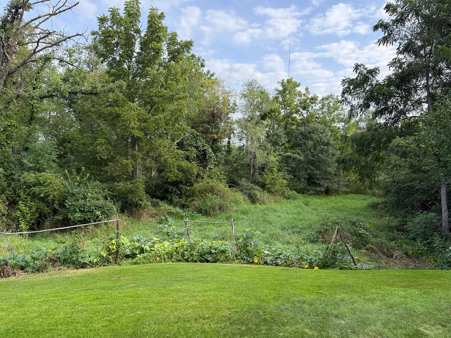 4 bed, 2.5 bath, 2226 sqft, $3,100 — Photo 4