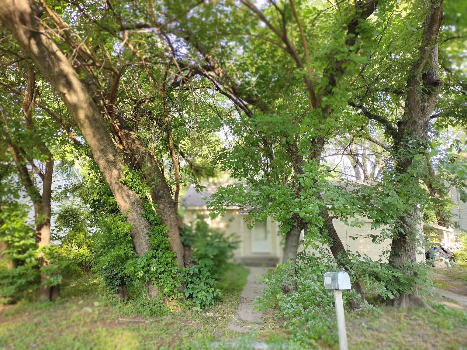 2 bed, 560 sqft, $1,550 — Photo 3