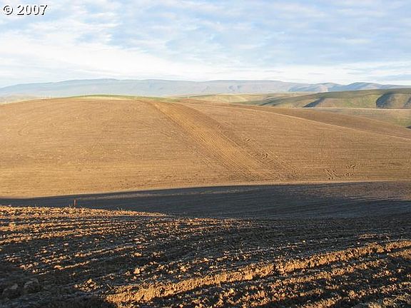The eastern sun warms the soil early.