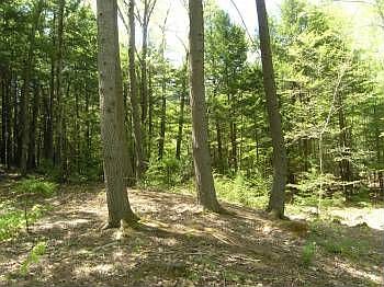 2nd image of 111 April Hill Rd