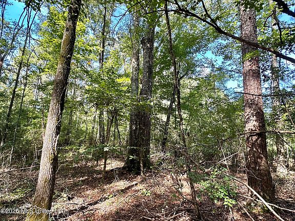 3rd image of 3 Dry Creek Rd