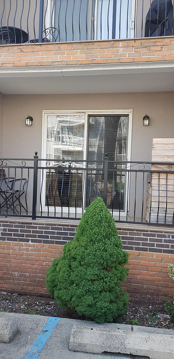Terrace/Balcony - 4401 Smith Ave #1D