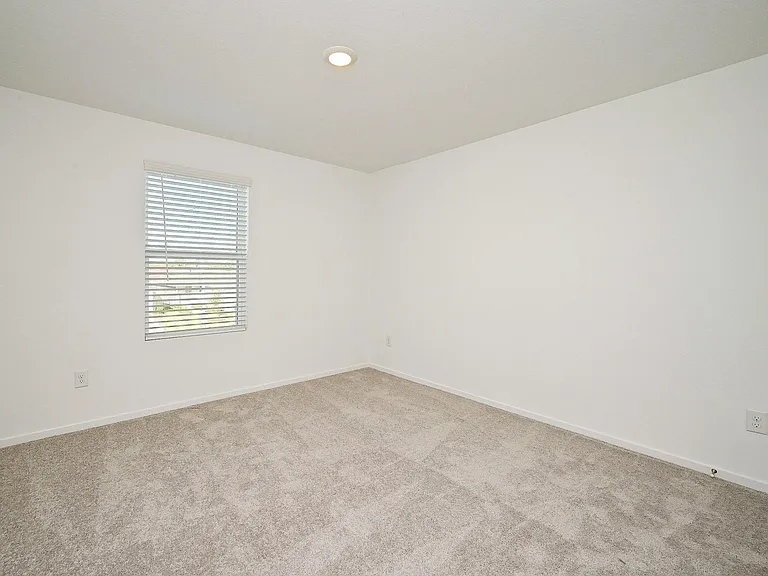 6818 Flowering Ginger Ln — Photo 36