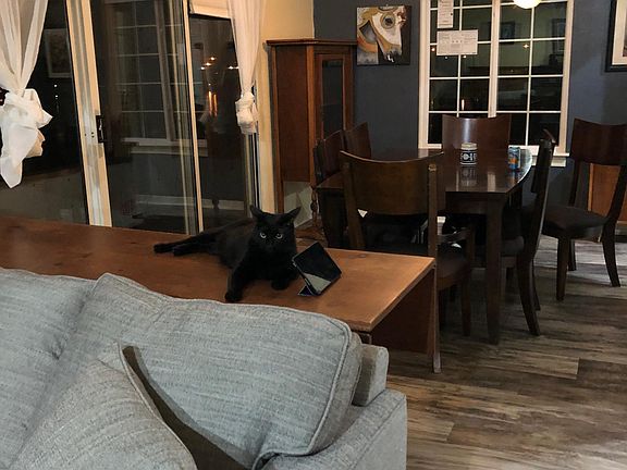 4th image of 215 Island Cove Ct APT C