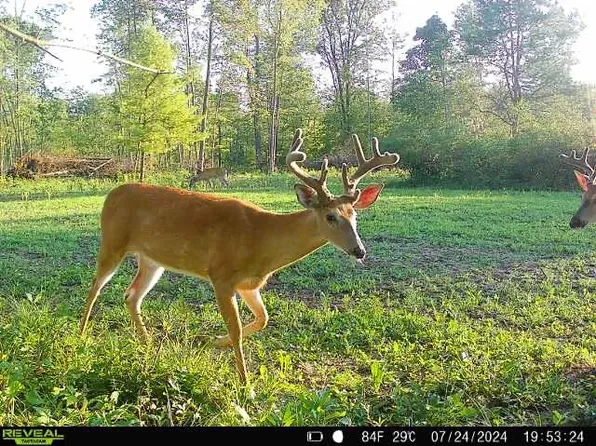3002 W 104th St, Grant, MI 49327