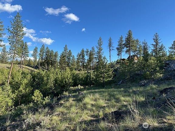 5th image of 0 Lot 39 Homestead Spur Road