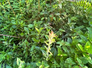 Lehua Rd LOT 433, Pahoa, HI 96778