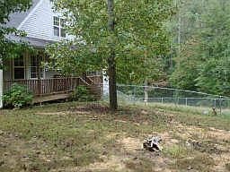 Right side of the house
