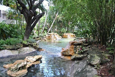 Garden pond with waterfall