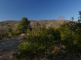 6687 Lizard Ridge Ln, Parrott, VA 24132