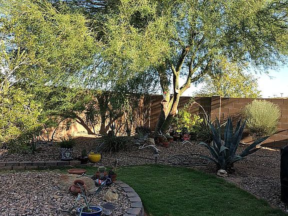 Pretty backyard