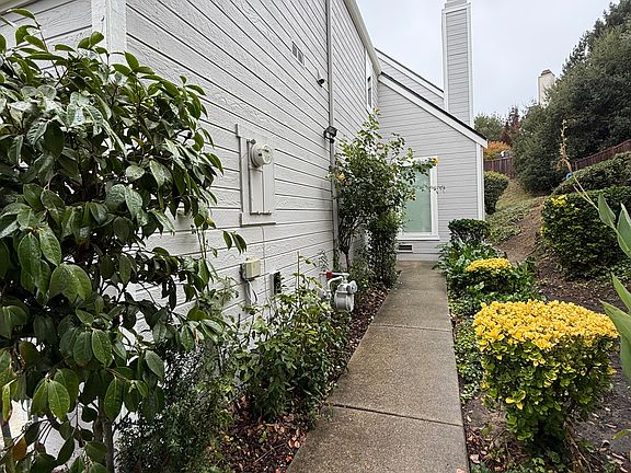 Pathway leading to front door
