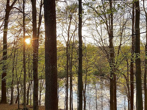 3rd image of 4350 Greenmeadow Lakes Cir