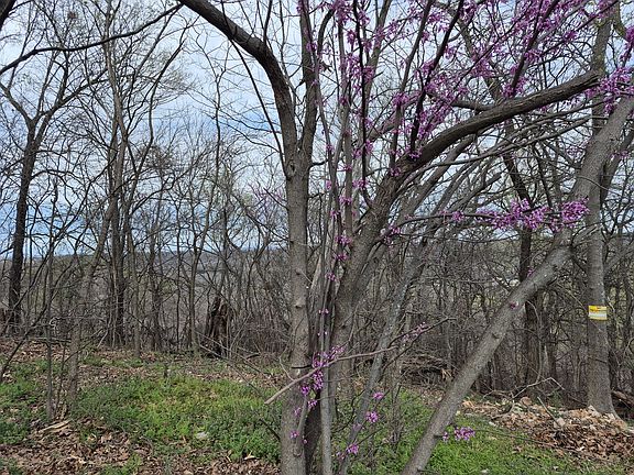 4th image of 341 E 437th Rd