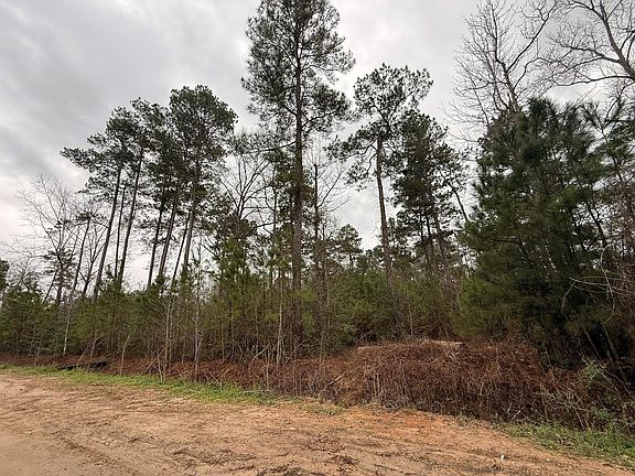 3rd image of 0 Schaffer Rd