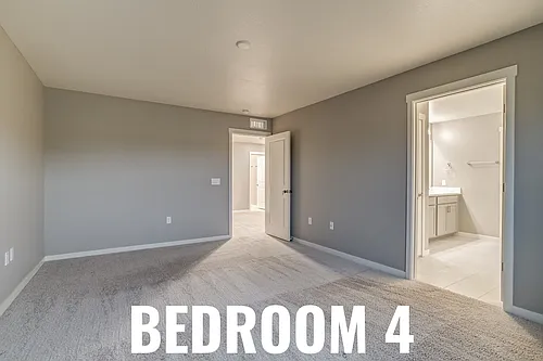 14239 Purple Aster Way #4 Photo 1