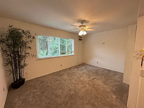 613 Woodland Photo 1
