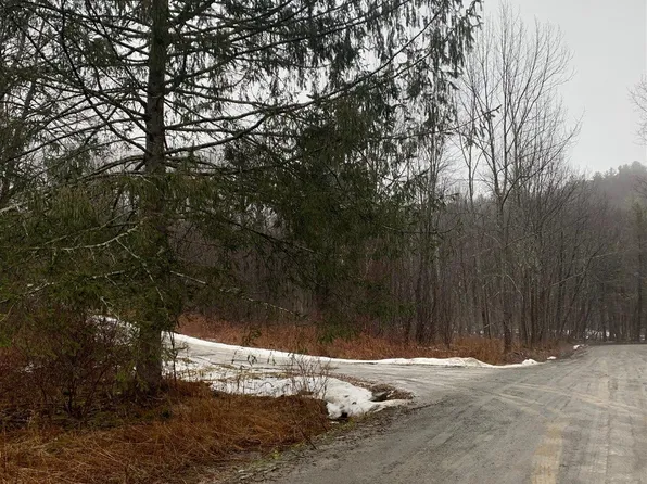 289 Olneys Rd, Petersburgh, NY 12138