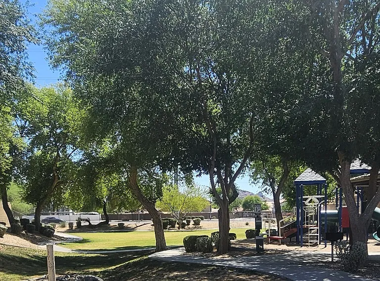 Play Area