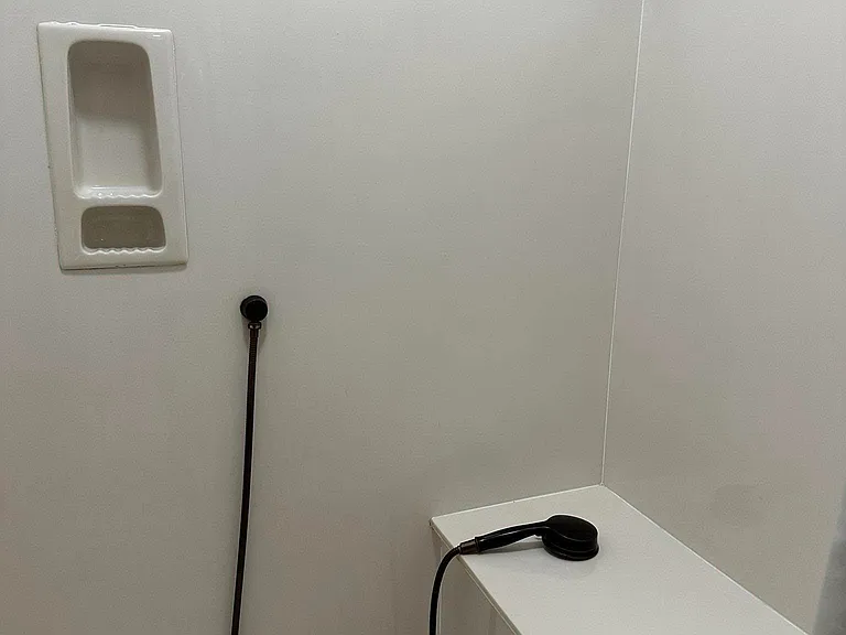 Primary shower