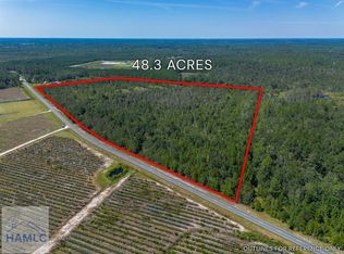 0 Old Surrency Rd, Baxley, GA 31513