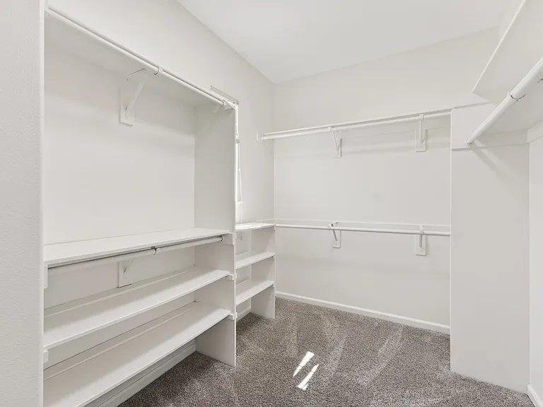 3107 Browntail Way — Photo 20