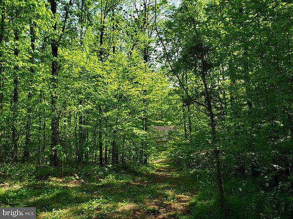 3rd image of Black Oak Dr