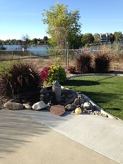 Water feature in back yard