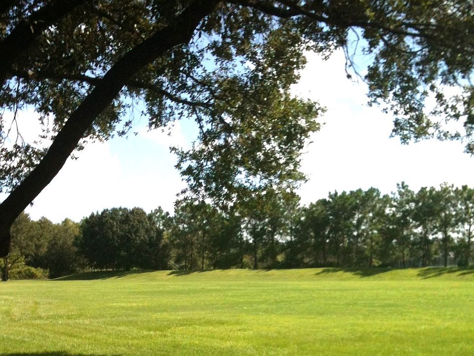 space to play,lots of trees 