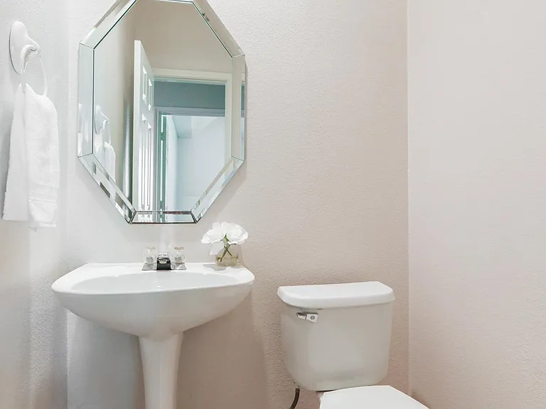 Downstairs powder bath