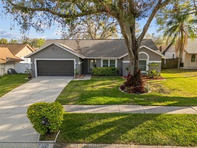 1613 Dusty Rose Ln, Brandon, FL, 33510