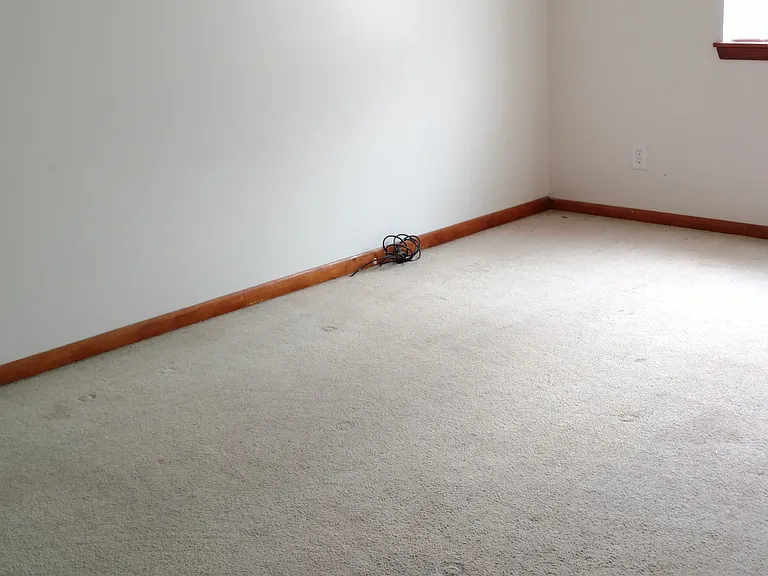 101 Draden Ln — Photo 5