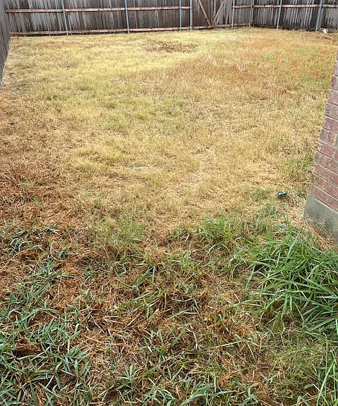 240 Lakeview Way — Photo 13